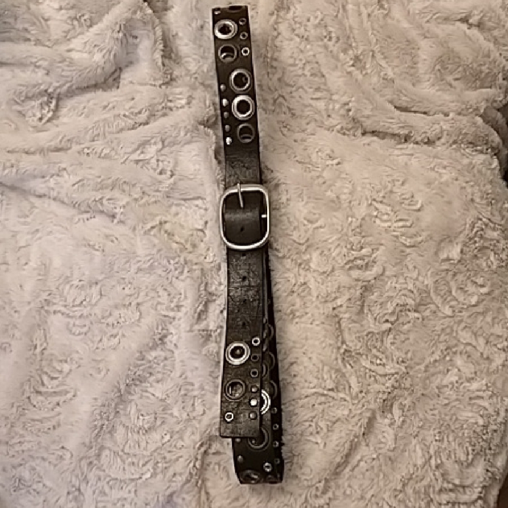 Multicoloured Studded Black Belt with Brushed Silver Buckle
